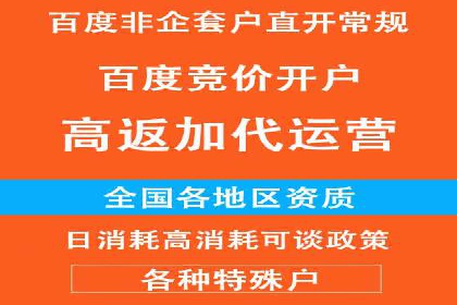 行业领先企业的SEM代运营成功之路